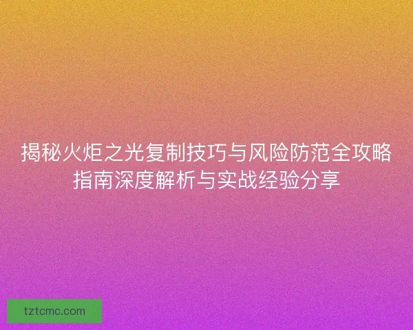 揭秘火炬之光复制技巧与风险防范全攻略指南深度解析与实战经验分享